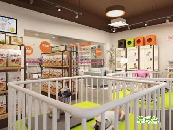 智能宠物市场分析与前景 2021年宠物市场前景分析
