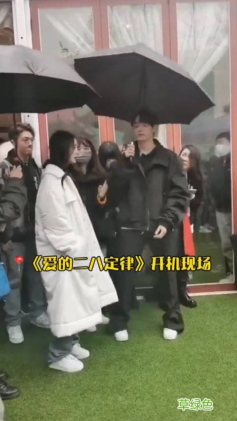 爱的二八定律演员表 爱的二八定律第1集