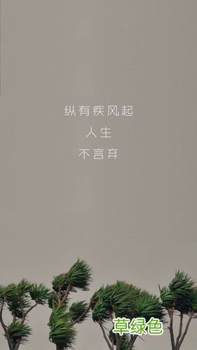 纵有疾风起人生不言弃日语怎么写