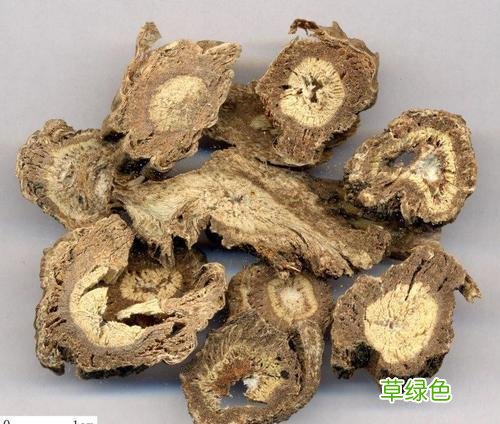 中药独活功效与作用的功效与作用及禁忌症 中药独活功效与作用