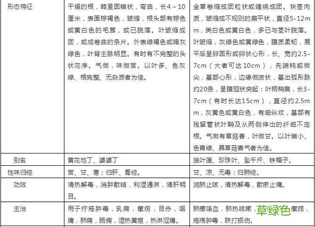 青天葵煲羚羊角的功效与作用 青天葵和羚羊角的功效