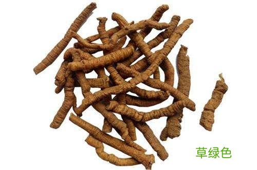生远志的功效与作用的功能与主治 生远志的功效与作用
